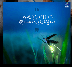 체험2