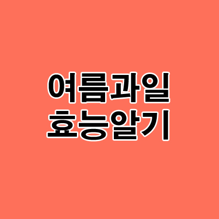 여름제철 과일 종류와 효능 알아보기