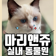 부산 실내 동물원 마리앤쥬 - 아이와 가볼만한 곳