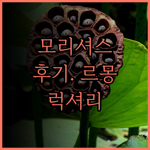 파라다이스 비치코머 골프 리조트 &