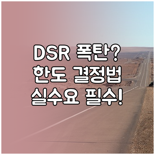 실수요자도 확인해야 할 스트레스 DS..