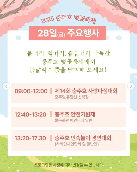 2025년 충주호 벚꽃축제 행사, 일정 등 3분 총정리