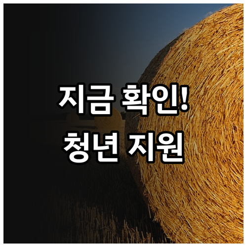 2026 진주시 청년월세 지원금 대상..