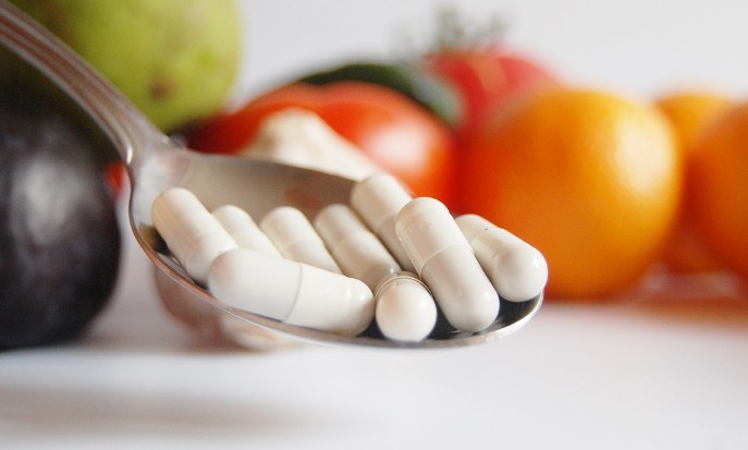 프로바이오틱스 고시형 13종의 특징/효능