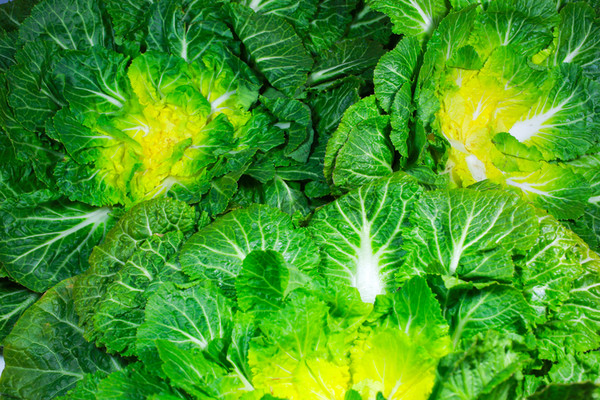 봄나물의-종류와-사진을-소개합니다.-봄나물의-종류로는 냉이-달래-쑥-미나리-등이-있습니다