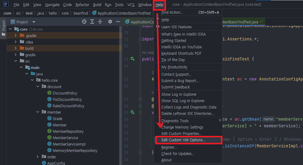 인텔리제이 메모리 설정 방법