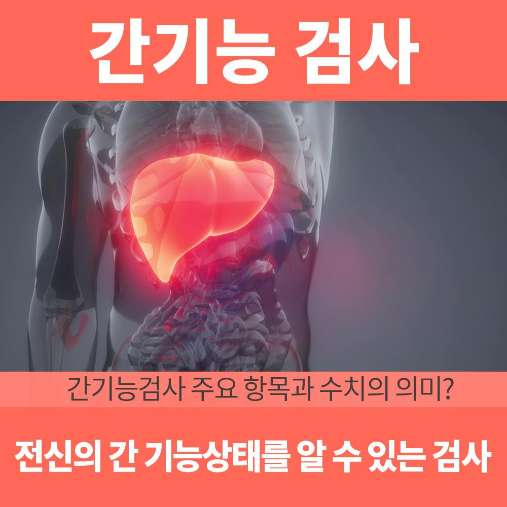 간기능 검사하기 표어