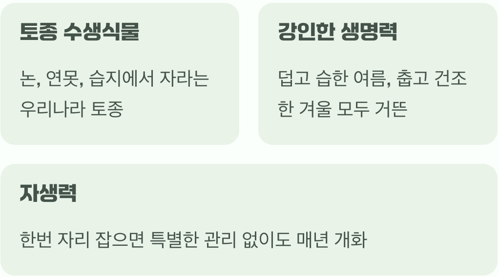 야생의 기질, 이해가 먼저