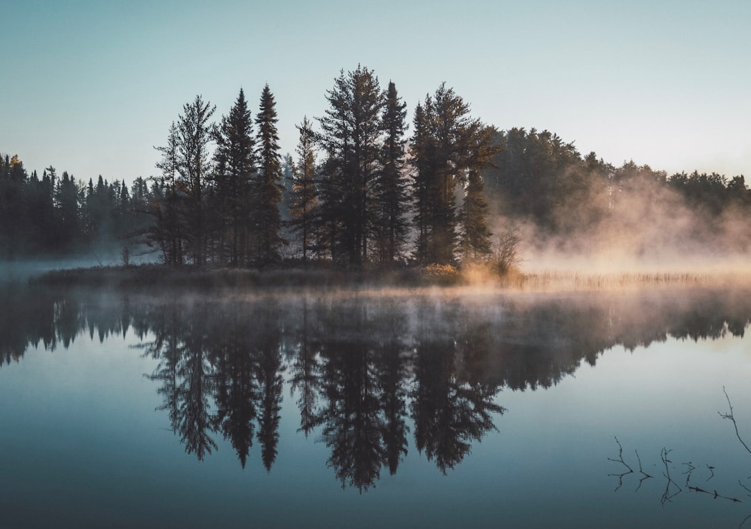 Hwadam Forest