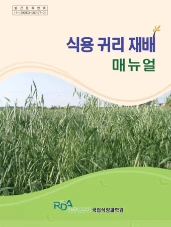 귀리 재배 봄 파종 배수 관리 비료량 조절_14
