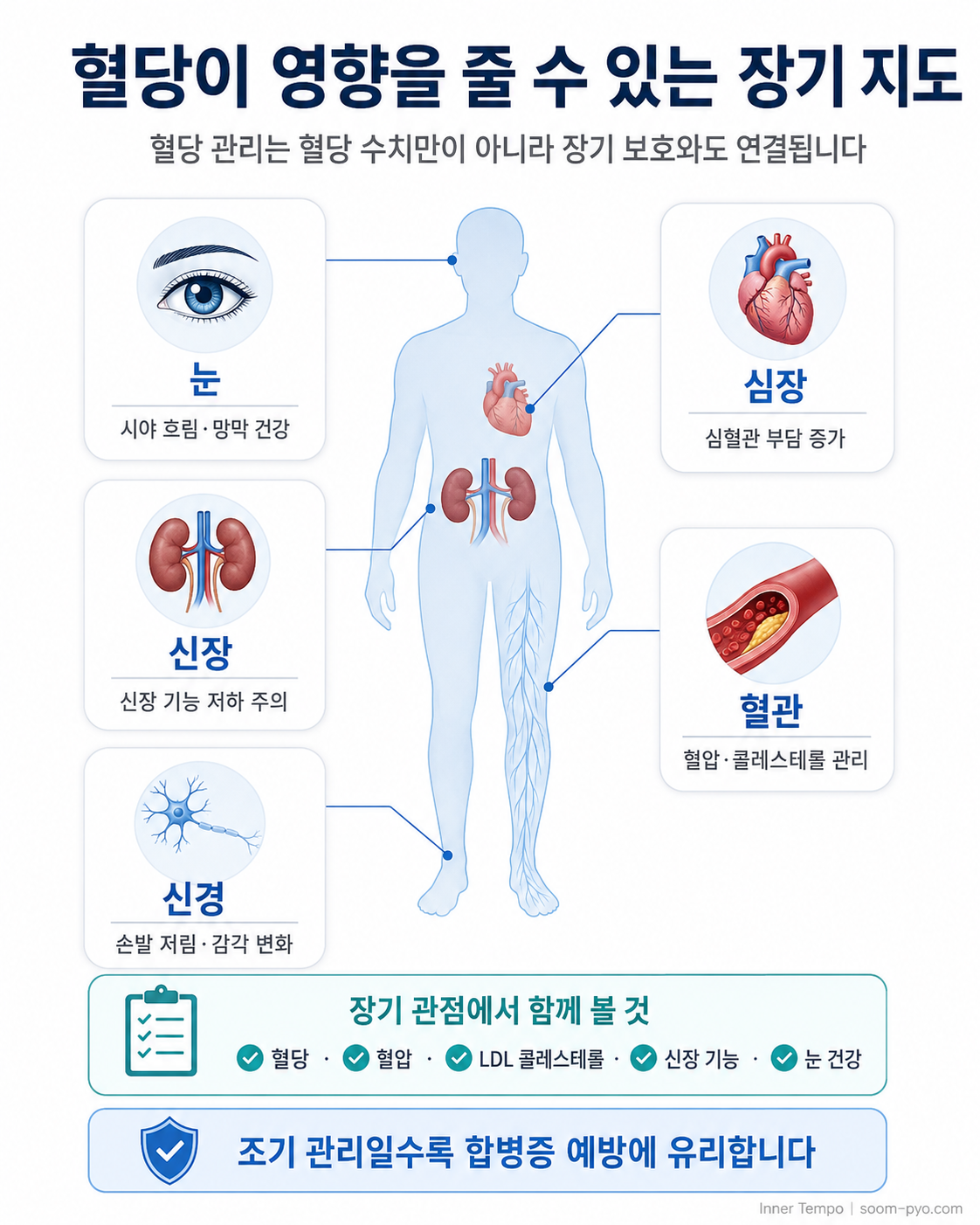 혈당과 장기 건강 지침