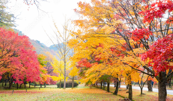 겨울철 난방비 절약하는 방법 