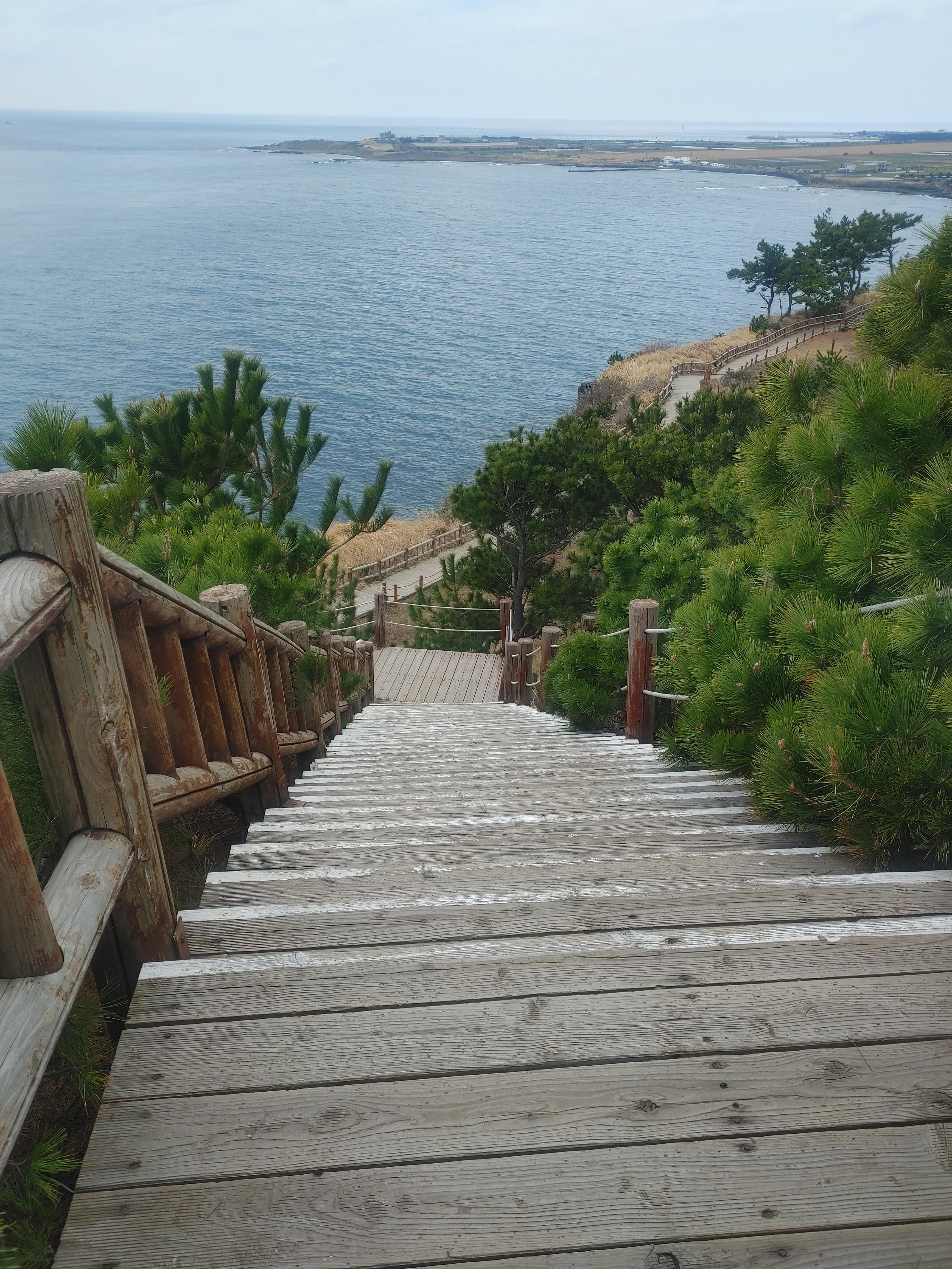 친구와 함께한 제주여행, 송악산 둘레길 한 바퀴 4