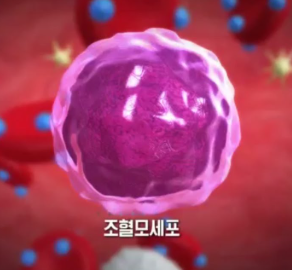 조혈모세포-기증