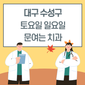 대구 수성구 토요일 일요일 치과 진료 병원 리스트