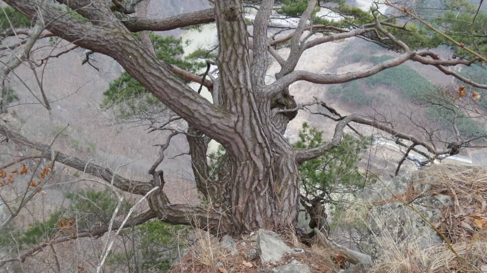100대 명산 등산하기 스물세번째 동강 백운산 등산하면서 굽이굽이 흐르는 동강과 주변 산들이 연출해 내는 절경
