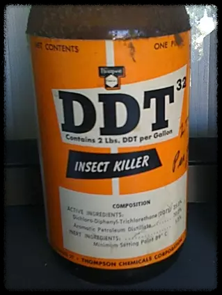 침묵의봄-ddt
