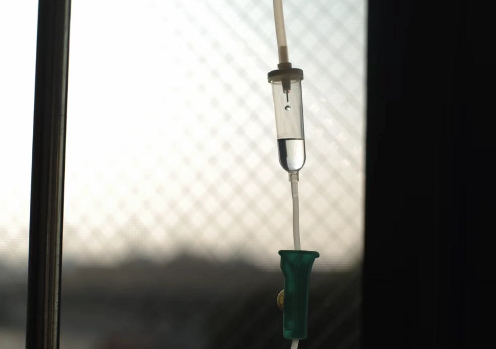 일본뇌염 생백신 사백신