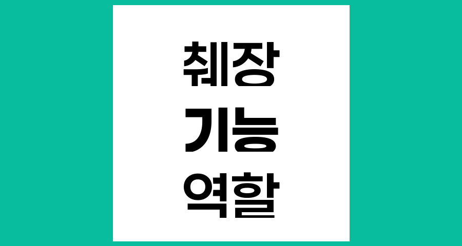 췌장의 기능과 역할, 소화와 호르몬 분비의 핵심 기관