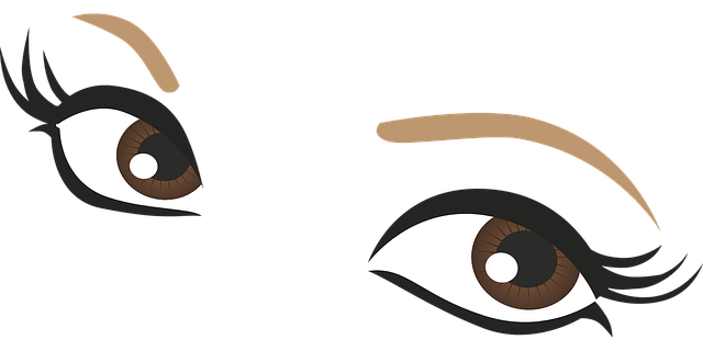 속눈썹