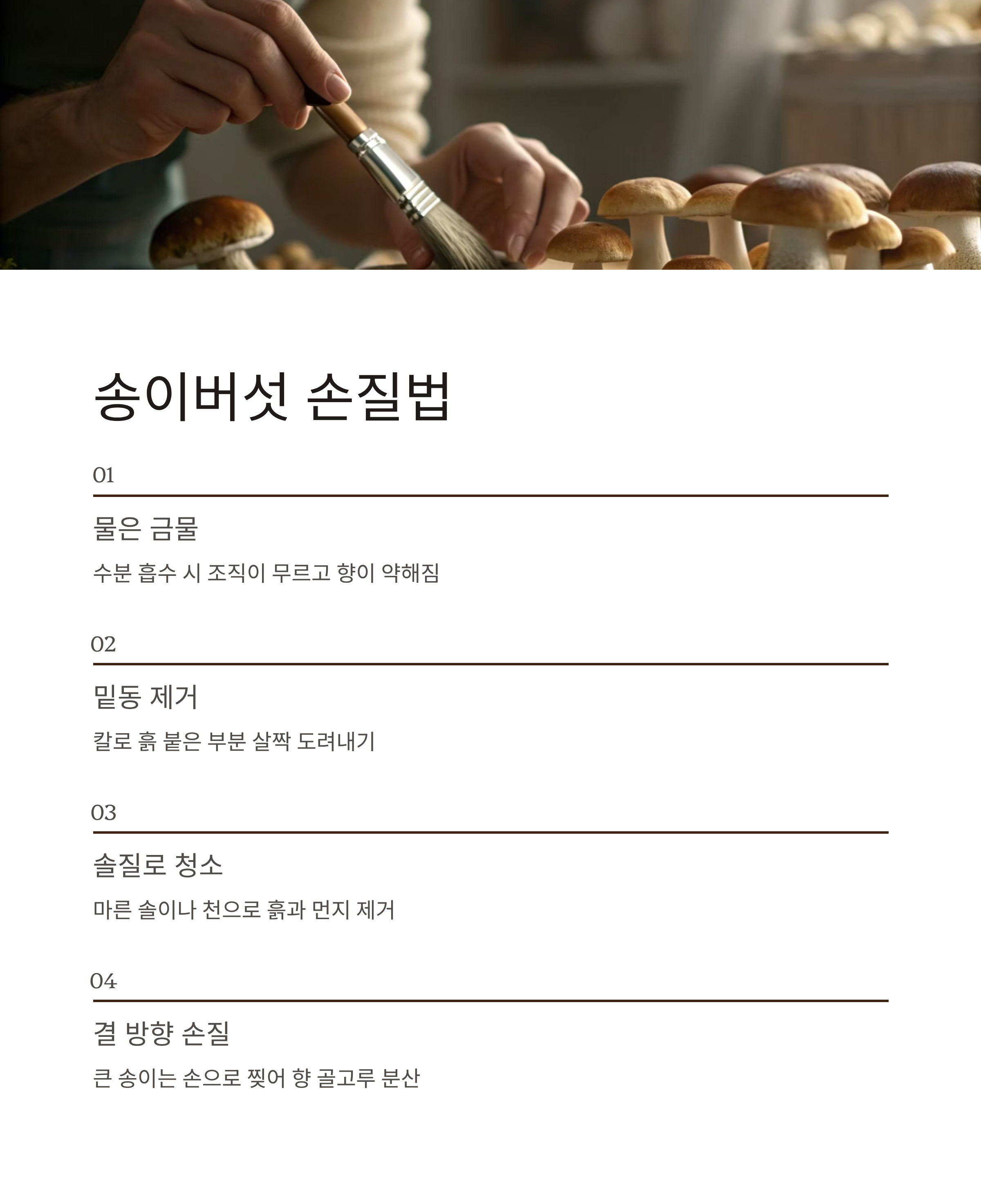 자연산 송이버섯 보관법 완벽정리|향과 식감 그대로 오래 보관하는 비결