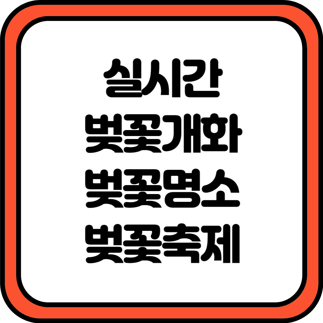 실시간 벚꽃 개화현황 벚꽃명소 축제일정 확인하기