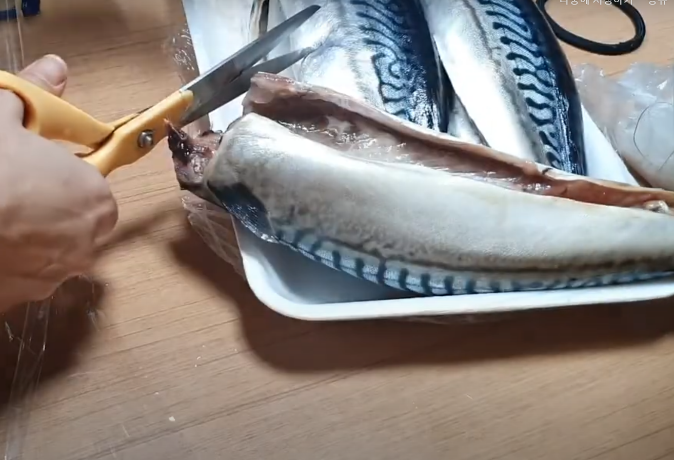 고등어 머리 제거
