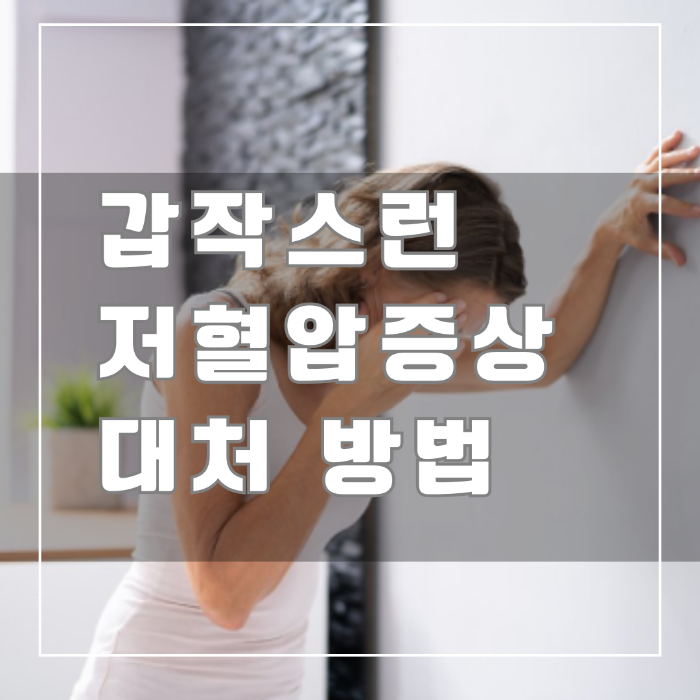 저혈압 증상 대처방법