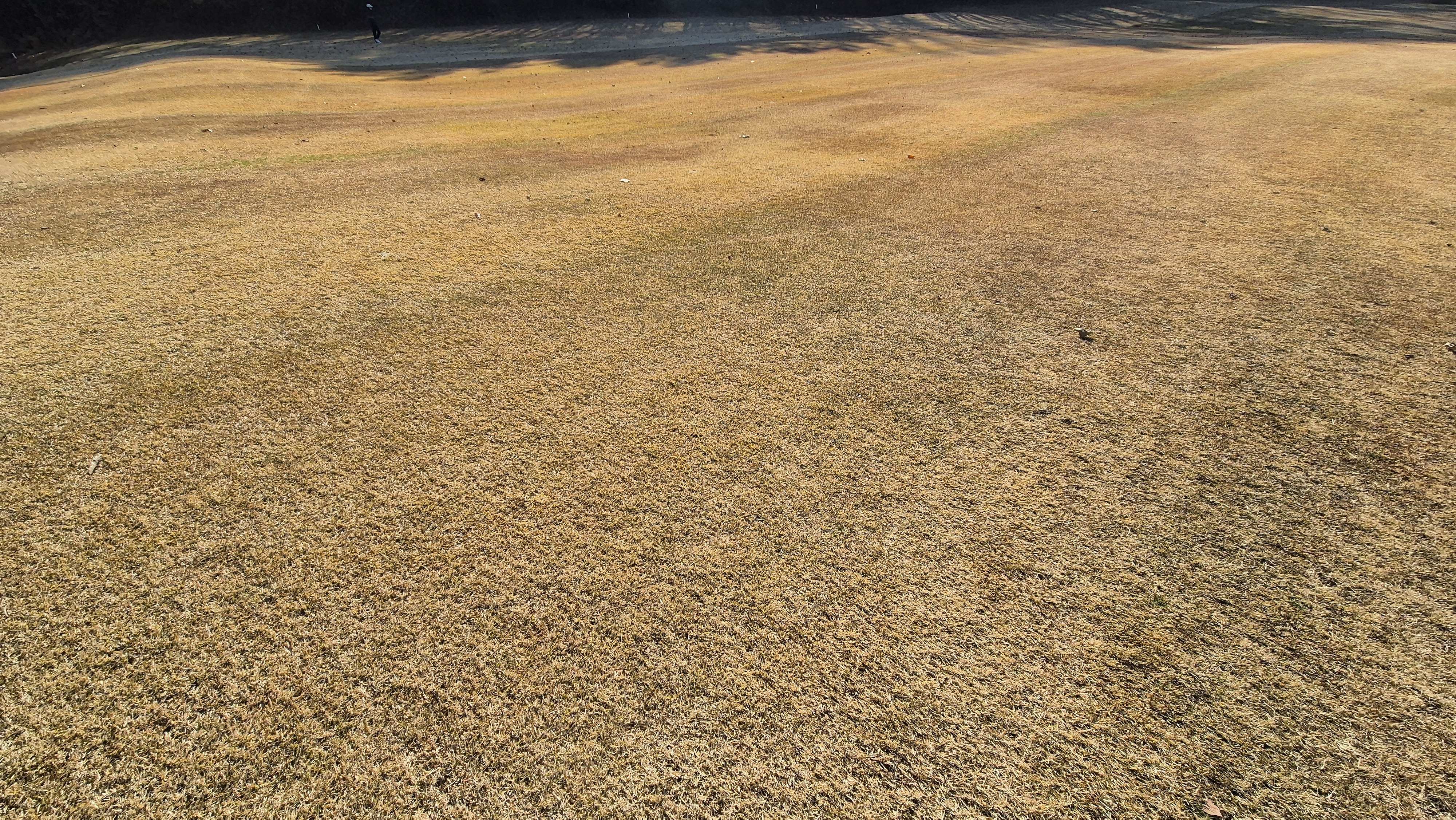 88cc 서코스 라운드 코스난이도