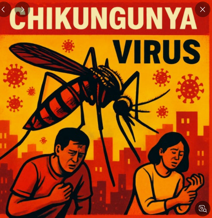 🌍 기후 변화와 함께 퍼지는 새로운 위협, 치쿤구니야열병이란?