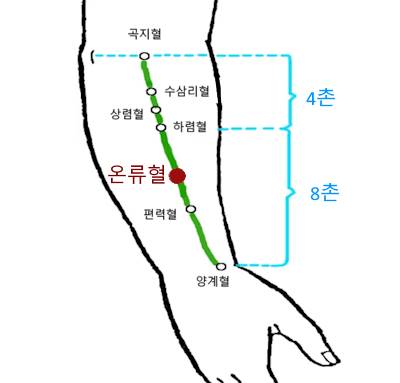 수양명대장경 온류혈