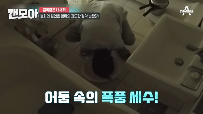 금쪽같은-내새끼-186