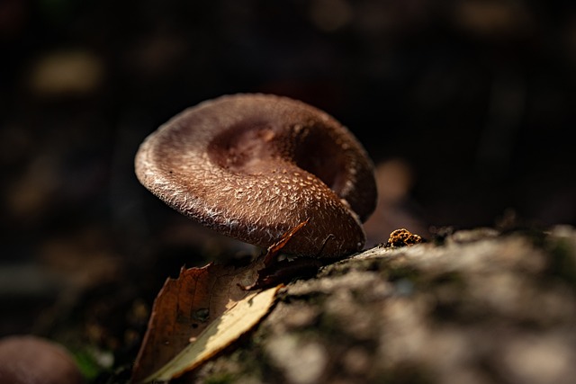 종아리 근육 통증 원인 27