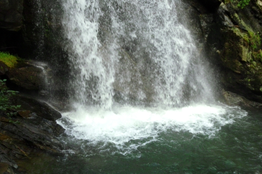 2020년 복날에 먹는 음식들과 삼복더위의 의미를 알려주는 이미지로 각종 피서지와 피서방법 보양음식이 담겨있다.
