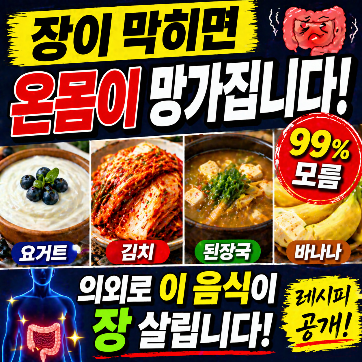 장이 편해야 몸이 편합니다… 장 유산균 음식과 레시피 총정리, 장 건강 프로바이오틱스 식단