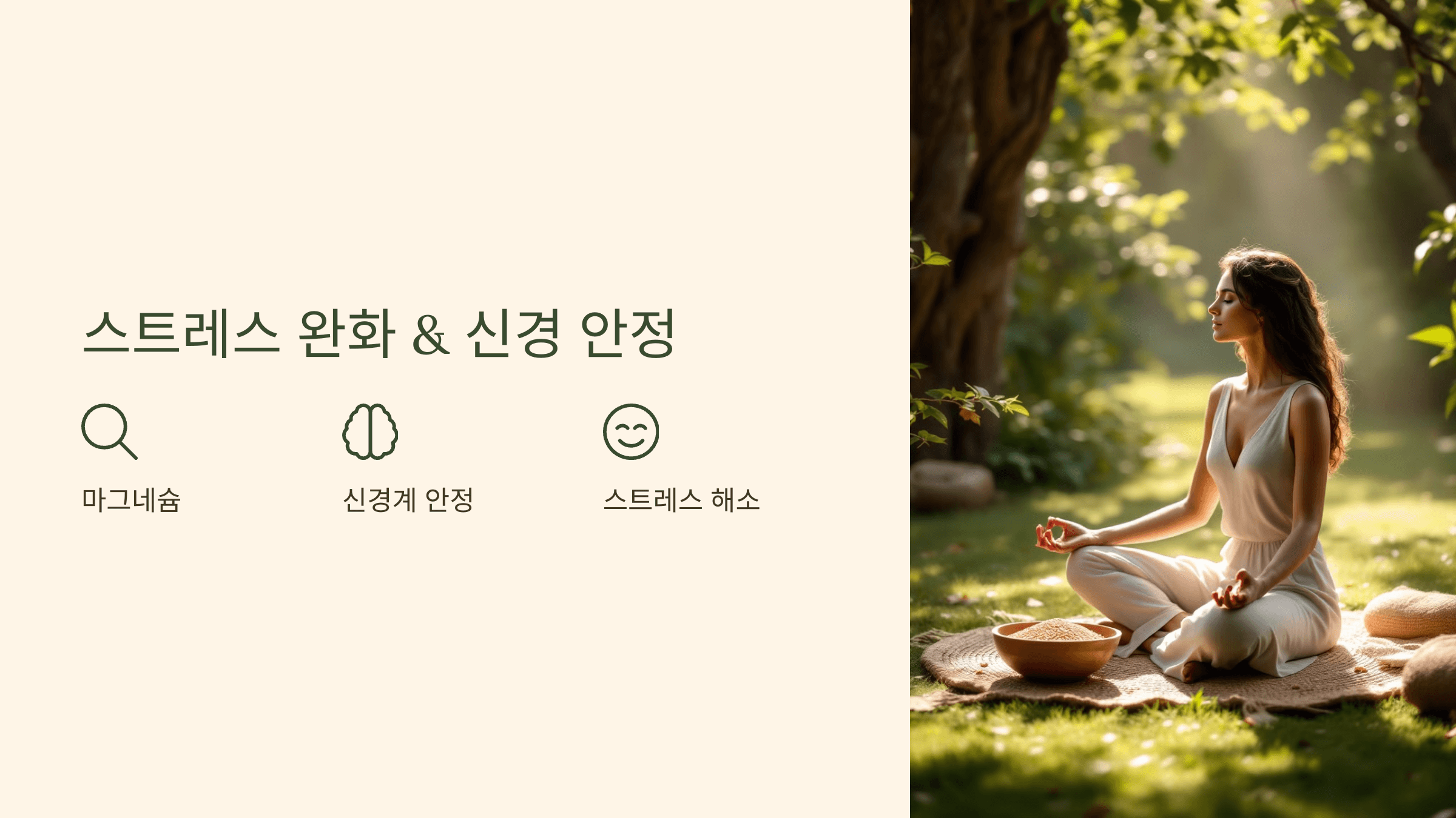 파로 효소와 관련된 사진입니다.