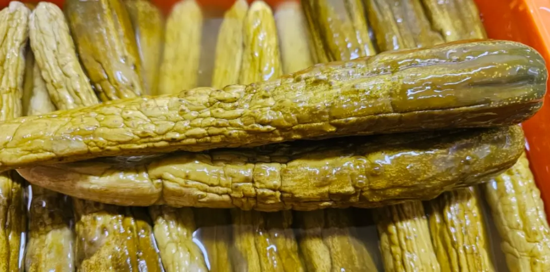 오이지 담그는 법