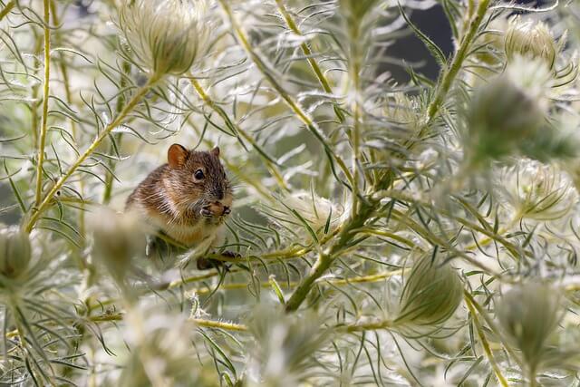 2024년 9월 띠별 운세 무료 보기