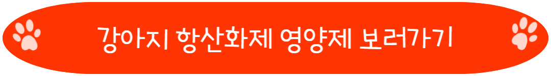 강아지 항산화제 영양제