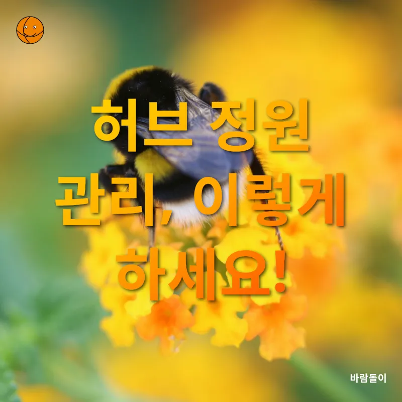 실내 허브 정원_2