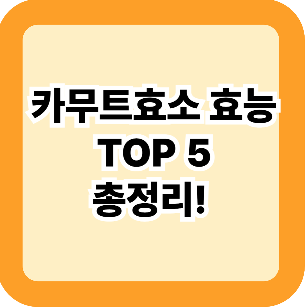 카무트효소 효능 TOP 5 - 먹는법·분말·골드카무트효소까지 총정리