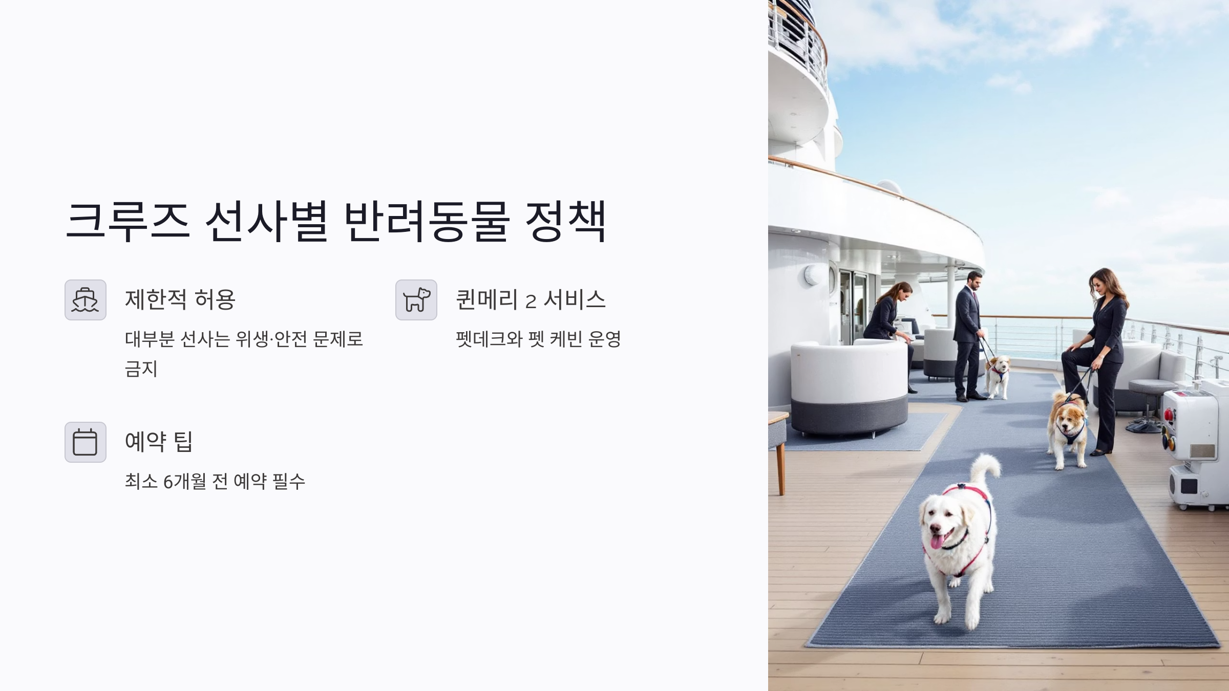 반려동물과 크루즈 여행 가능한가? 준비·서류·펫호텔까지