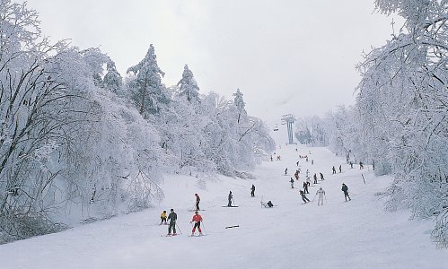용평 리조트 스키장