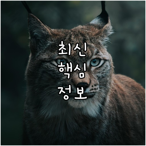 2025 상주시 임산부 의료비 20만..