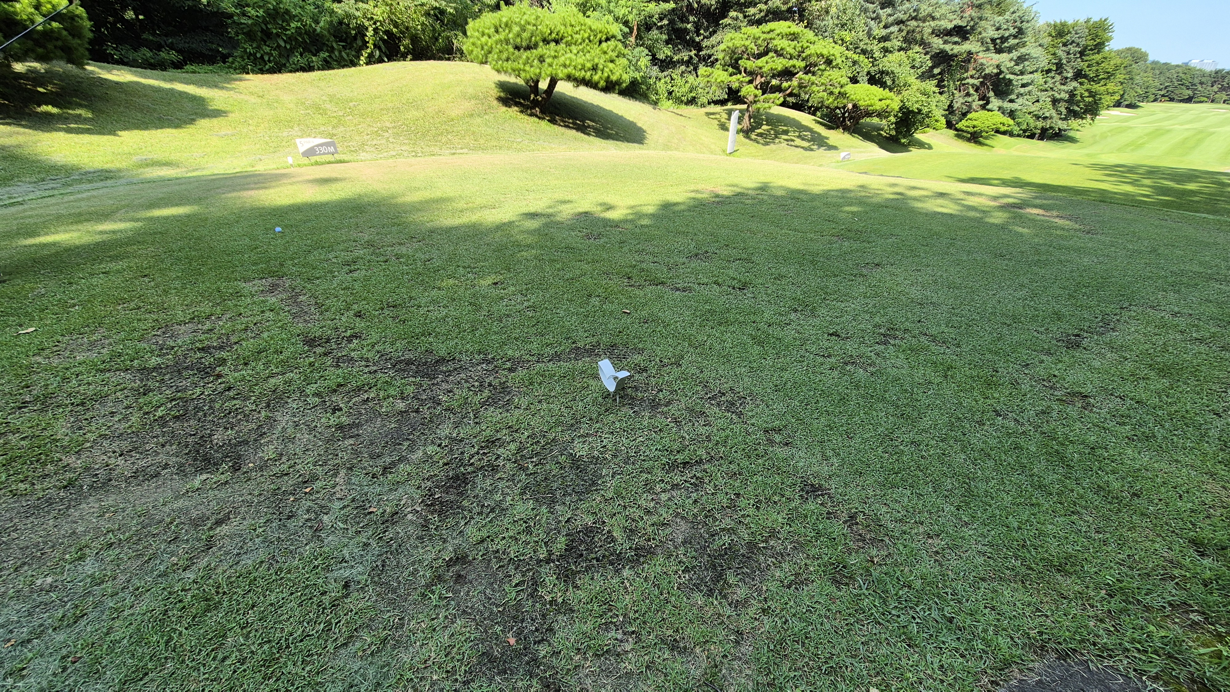 태광cc 북-서 코스 라운드 후기