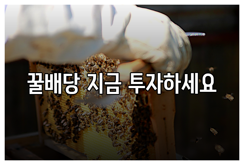꿀배당 지금 투자하세요