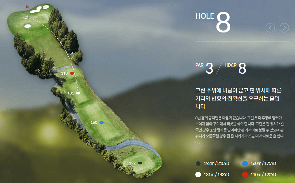 롯데스카이힐제주 컨트리클럽 포레스트코스 8