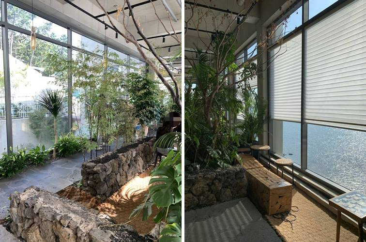 2층 바다뷰 및 식물 조경 모습