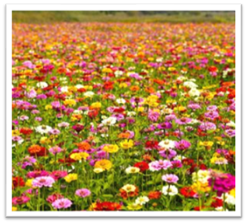 전라도 가을 여행지 추천5