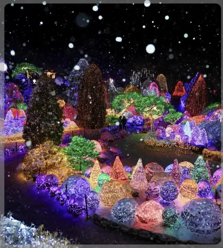 아침고요수목원_15